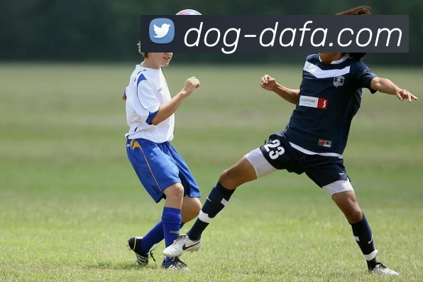 大发娱乐APP 封面图